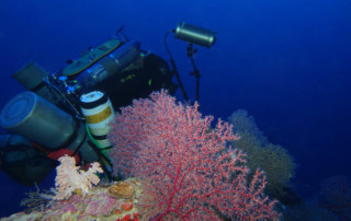 Presqu'ile de Tahiti à -100m