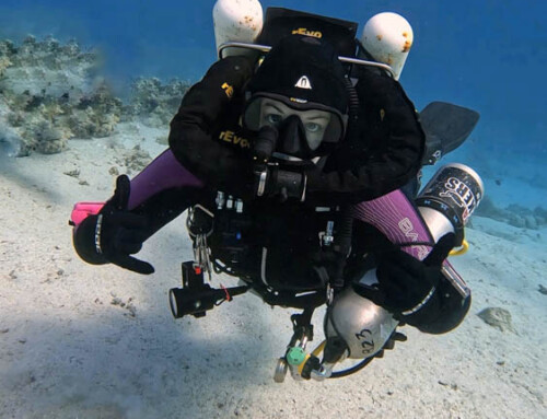 meandmyrEvo – Conquering New Skills in the Red Sea